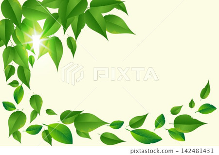 Bright sun shining through fresh green leaves creating a vibrant natural border Bright sun shining through fresh green leaves creating a vibrant natural border 142481431