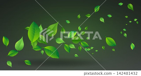 Green leaves flying and falling against a dark background, representing ecology and natural freshness 142481432