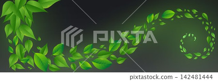 Green leaves are swirling creating a dynamic spiral against a dark background, representing nature's flow Green leaves are swirling creating a dynamic spiral against a dark background, representing nature's flow 142481444