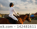 Woman rider jockey in helmet and white uniform preparing horse racing. 142481611