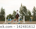 Dressage horse and rider in uniform during equestrian jumping competition. 142481612