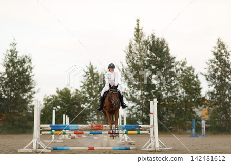Dressage horse and rider in uniform during equestrian jumping competition. 142481612
