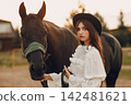 Woman with her horse at outdoors ranch 142481621