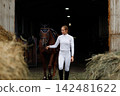 Woman rider jockey at stable preparing horse racing or jumping competition. 142481622