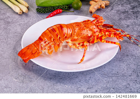 Cooked spiny lobster on white plate with fresh herbs and spices on grey background Cooked spiny lobster on white plate with fresh herbs and spices on grey background 142481669