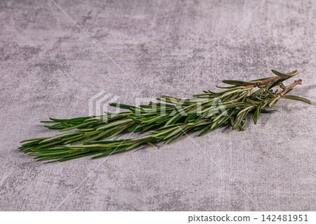 Fresh green rosemary on grey textured background Fresh green rosemary on grey textured background 142481951