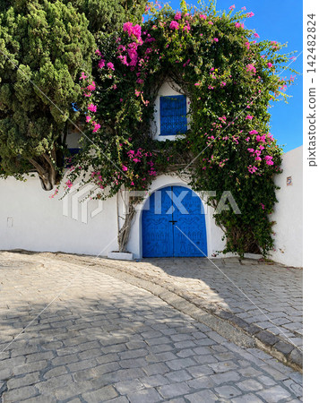 The scenery of Sidi Bou Said in Tunisia, with its bougainvillea, azure gates and windows, blue sky, and white walls, is truly stunning. The scenery of Sidi Bou Said in Tunisia, with its bougainvillea, azure gates and windows, blue sky, and white walls, is truly stunning. 142482824
