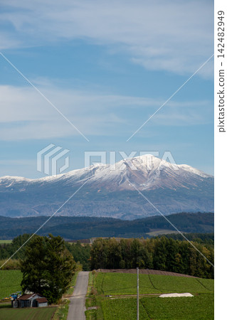 A road passing through autumn's green fields and the snow-capped mountain range of Daisetsuzan. A road passing through autumn's green fields and the snow-capped mountain range of Daisetsuzan. 142482949