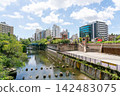 [Tokyo] A view of the Meguro River overflowing with fresh greenery in midsummer (August 2026) 142483075