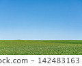 Hokkaido: Japan's magnificent nature - spring blue skies and green grasslands (June 2026) 142483163