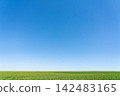 Hokkaido: Japan's magnificent nature - spring blue skies and green grasslands (June 2026) 142483165