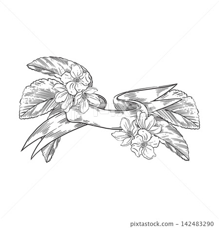 Fruit tree flowers with leaves and a ribbon with a place for the text. Everything is hand-drawn in ink. Botanical illustration for greeting cards, labels, wedding invitations and interior decoration. Fruit tree flowers with leaves and a ribbon with a place for the text. Everything is hand-drawn in ink. Botanical illustration for greeting cards, labels, wedding invitations and interior decoration. 142483290