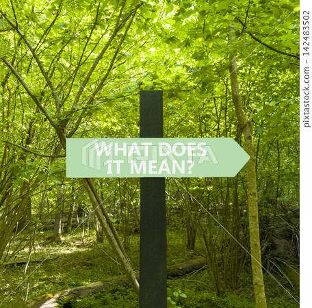 What does it mean words symbol. Concept words What does it mean on beautiful green road sign. Beautiful green forest background. Business What does it mean motivational support concept. Copy space. 142483502