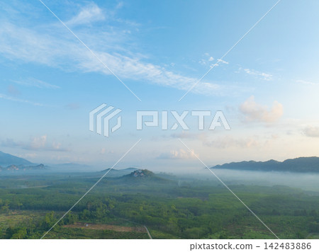 Aerial view of morning mist drifting across tropical valley with forest plantation and distant mountains beneath blue sky. Rural landscape. Tranquil countryside ideal for nature and travel concept. 142483886