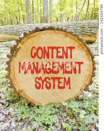 Content management system symbol. Concept words Content management system on beautiful wooden circle. Beautiful green forest background. Business content management system concept. Copy space. 142484786