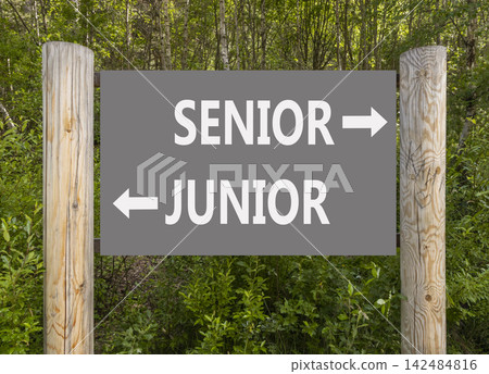 Senior or junior words symbol. Concept words Senior Junior on beautiful road sign. Beautiful green forest background. Business and senior or junior concept. Copy space. Senior or junior words symbol. Concept words Senior Junior on beautiful road sign. Beautiful green forest background. Business and senior or junior concept. Copy space. 142484816