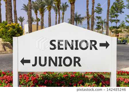 Senior or junior words symbol. Concept words Senior Junior on beautiful white road sign. Beautiful palm trees background. Business and senior or junior concept. Copy space. Senior or junior words symbol. Concept words Senior Junior on beautiful white road sign. Beautiful palm trees background. Business and senior or junior concept. Copy space. 142485246
