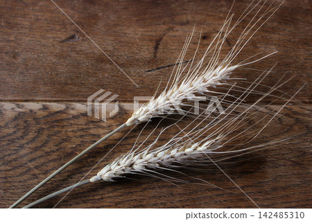 Two Dried Wheat Ears On Old Vintage Table Closeup Angle View Two Dried Wheat Ears On Old Vintage Table Closeup Angle View 142485310