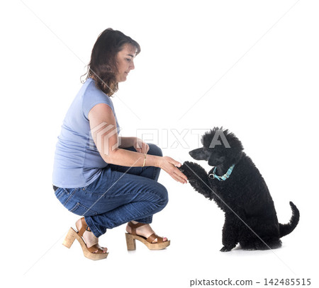 dog, owner and obedience 142485515