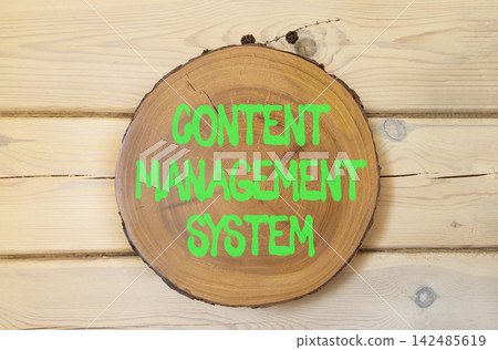 Content management system symbol. Concept words Content management system on beautiful wooden circle. Beautiful wooden wall background. Business content management system concept. Copy space. 142485619