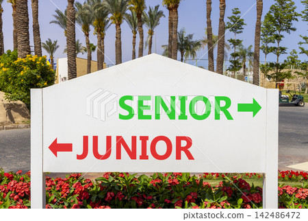 Senior or junior words symbol. Concept words Senior Junior on beautiful white road sign. Beautiful palm trees background. Business and senior or junior concept. Copy space. Senior or junior words symbol. Concept words Senior Junior on beautiful white road sign. Beautiful palm trees background. Business and senior or junior concept. Copy space. 142486472