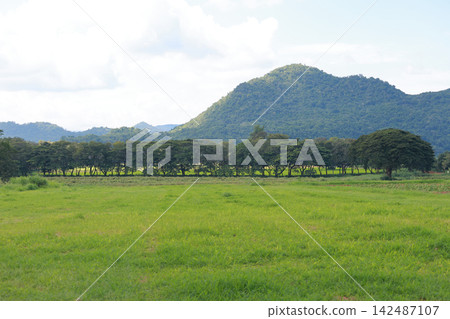 Green Meadow with Tree Line and Layered Mountains Under Cloudy Sky Green Meadow with Tree Line and Layered Mountains Under Cloudy Sky 142487107