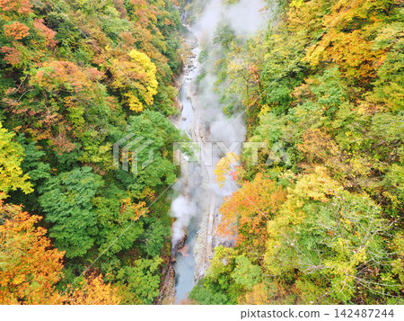 A clear stream flows through a V-shaped valley, and rising steam rises from it, overlooking the autumn foliage of Koyasu Gorge. A clear stream flows through a V-shaped valley, and rising steam rises from it, overlooking the autumn foliage of Koyasu Gorge. 142487244