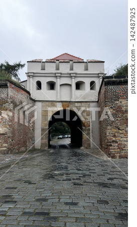 Ancient stone stone gate with archway and cobblestone road at vysehrad fortress in prague 142487925