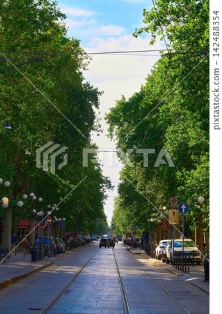 Yamanote Line sidewalk surrounded by fresh greenery Yamanote Line sidewalk surrounded by fresh greenery 142488354
