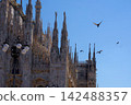 The spire of St. Peter's Church flies 142488357