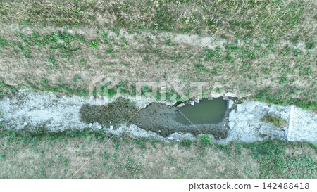 Drought river climate change dried stream dry shallow waterway Trusovicky creek bed with cracked mud, exposed rocks, sediment, tall grasses, reeds, shrubs, and trees clear, sunny, cracked soil 142488418