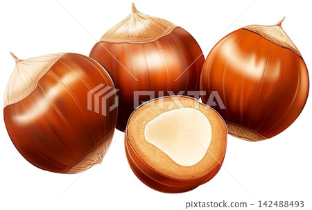 hazelnut hazelnut 142488493