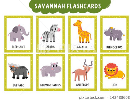 Vector safari animals flash cards set with lion, giraffe, zebra, elephant. English language game for kids. African savannah flashcards. Savanna nature educational printable worksheet with antelope Vector safari animals flash cards set with lion, giraffe, zebra, elephant. English language game for kids. African savannah flashcards. Savanna nature educational printable worksheet with antelope 142488608