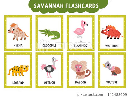 Vector safari animals flash cards set with hyena, crocodile, flamingo. English language game for kids. African savannah flashcards. Savanna nature educational printable worksheet with ostrich Vector safari animals flash cards set with hyena, crocodile, flamingo. English language game for kids. African savannah flashcards. Savanna nature educational printable worksheet with ostrich 142488609