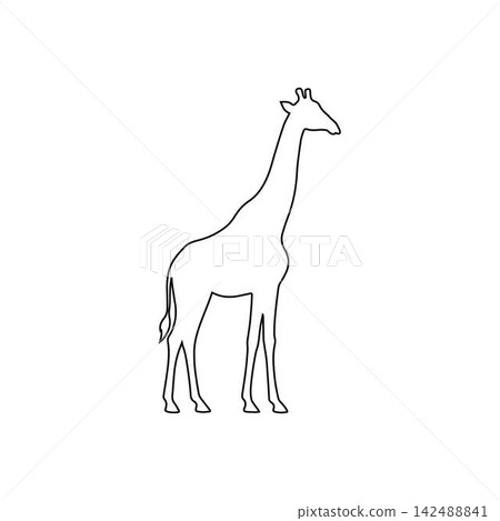 standing giraffe outline isolated on white background 142488841