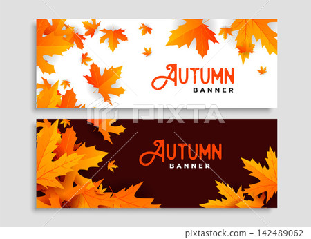 set of two autumn leaves seasonal banners design set of two autumn leaves seasonal banners design 142489062