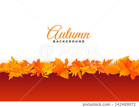 elegant autumn background leaves design elegant autumn background leaves design 142489072