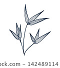 Elegant botanical line art with stylized leaves of a bamboo on white background. Suitable as a design element for floral branding, stationery, packaging, textiles and decorative prints. 142489114