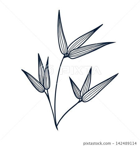 Elegant botanical line art with stylized leaves of a bamboo on white background. Suitable as a design element for floral branding, stationery, packaging, textiles and decorative prints. Elegant botanical line art with stylized leaves of a bamboo on white background. Suitable as a design element for floral branding, stationery, packaging, textiles and decorative prints. 142489114