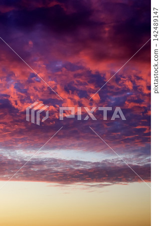 fiery red and purple clouds over golden horizon band at sunset fiery red and purple clouds over golden horizon band at sunset 142489147