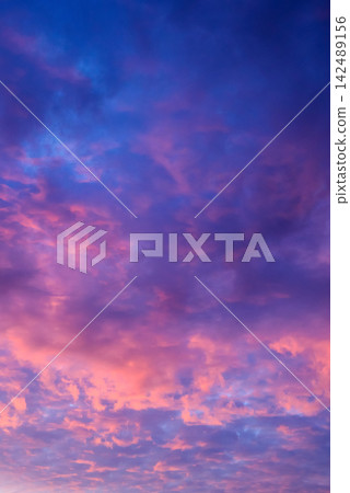 dense clouds are saturated with sunset pink glow in the blue of twilight dense clouds are saturated with sunset pink glow in the blue of twilight 142489156