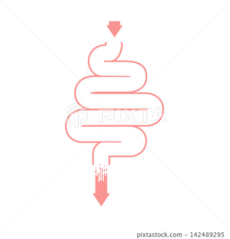 Gut Health Digestive System Anatomy Vector Gut Health Digestive System Anatomy Vector 142489295