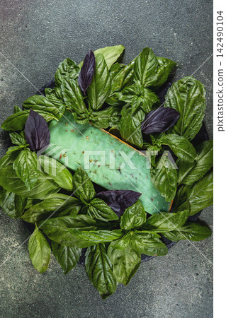 Green pesto gouda cheese with fresh basil leaves on dark background Green pesto gouda cheese with fresh basil leaves on dark background 142490104
