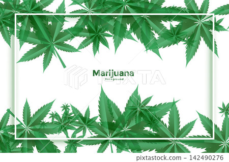 marijuana and cannabis green leaves background design marijuana and cannabis green leaves background design 142490276