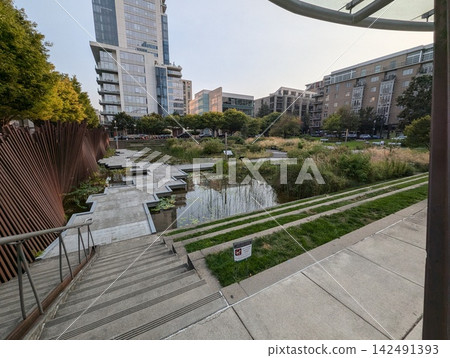 Portland, Oregon, USA - September 6, 2024: Tanner Springs Park wetland and city buildings Portland, Oregon, USA - September 6, 2024: Tanner Springs Park wetland and city buildings 142491393