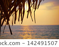 Stunning sunset over Indian Ocean on Hikkaduwa Beach Sri Lanka with calm waves 142491507