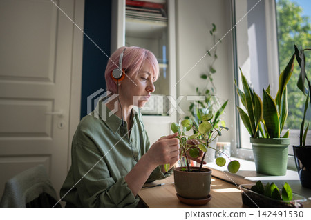 Pink haired woman tends potted pilea beside zamioculcas near sunny window at home indoors. Pink haired woman tends potted pilea beside zamioculcas near sunny window at home indoors. 142491530