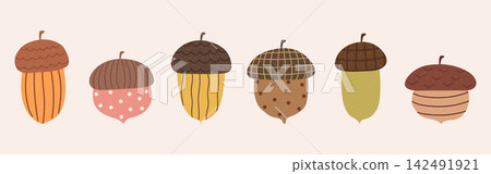 Cute handdrawn autumn acorns with various decorative patterns Cute handdrawn autumn acorns with various decorative patterns 142491921