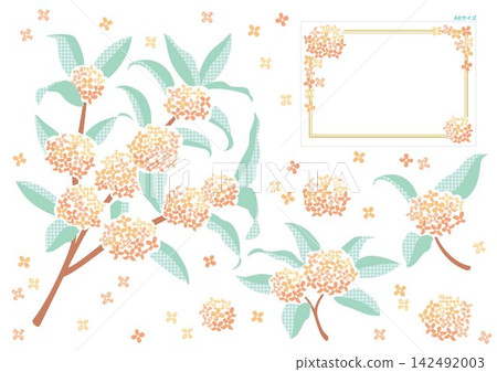 桂花(金木星)插畫套裝 | 秋季花卉及畫框材料 桂花(金木星)插畫套裝 | 秋季花卉及畫框材料 142492003