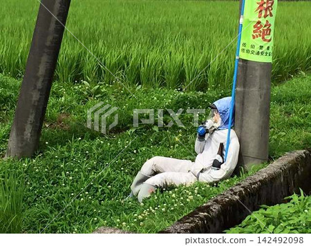 看起來活靈活現的稻草人 看起來活靈活現的稻草人 142492098